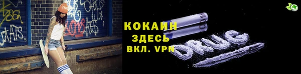 трава Арсеньев