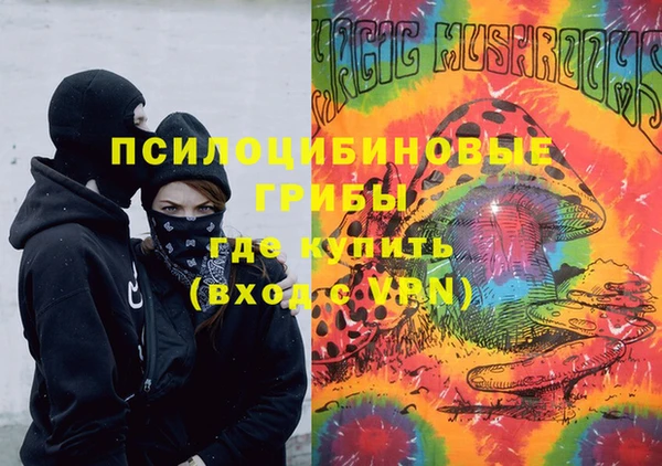 трава Арсеньев