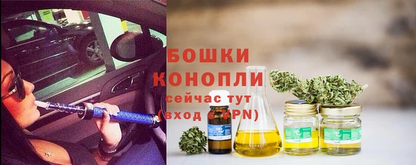 трава Арсеньев